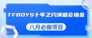 最新蓝海项目，靠最近非常火的TFBOYS十年之约演唱会流量掘金，八月必做的项目【揭秘】-网赚项目众筹网
