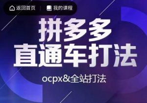 互力·拼多多直通车打法，ocpx&全站打法-网赚项目众筹网