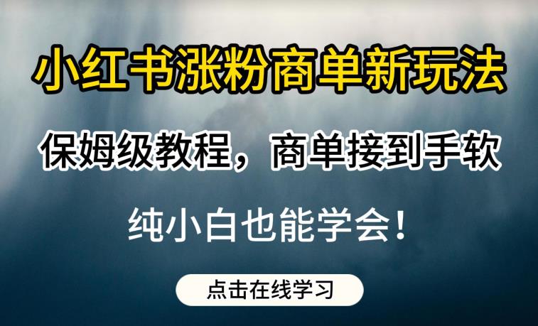 小红书涨粉商单新玩法，保姆级教程，商单接到手软，纯小白也能学会【揭秘】-网赚项目众筹网