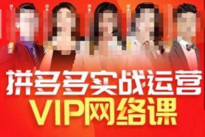 推易拼多多VIP全套直播课程,拼多多店铺实操玩法+实战玩法选款内功+直通车高阶等-网赚项目众筹网