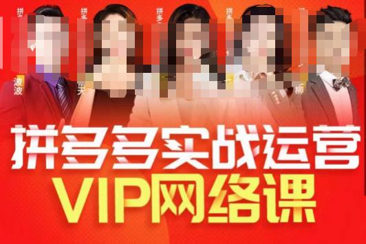 推易拼多多VIP全套直播课程，拼多多店铺实操玩法+实战玩法选款内功+直通车高阶等-网赚项目众筹网