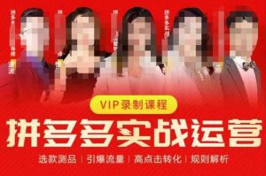 2023推易拼多多实战运营,选款测品、引爆流量、高点击转化、规则解析-网赚项目众筹网