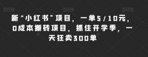 新“小红书”项目,一单5/10元,0成本搬砖项目,抓住开学季,一天狂卖300单【揭秘】-网赚项目众筹网