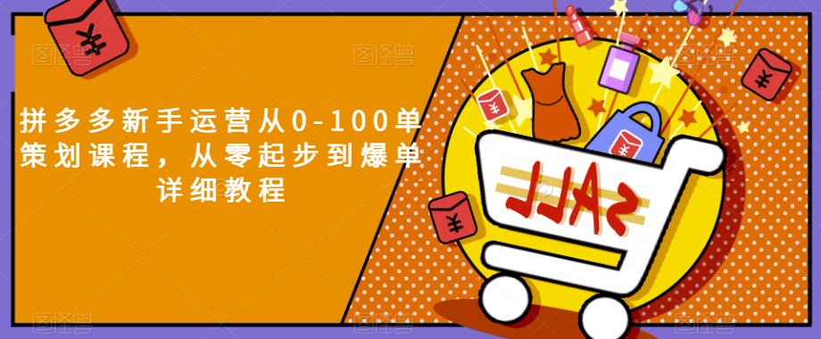 拼多多新手运营从0-100单策划课程，从零起步到爆单详细教程-网赚项目众筹网