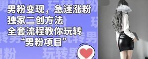 男粉变现，急速涨粉独家二创方法，全套流程教你玩转“男粉项目”【揭秘】-网赚项目众筹网