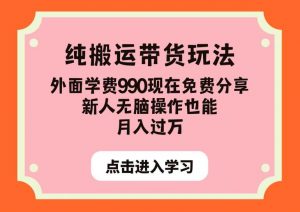 纯搬运带货玩法,外面学费990现在免费分享,新人无脑操作也能月入过万【揭秘】-网赚项目众筹网