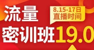 秋秋线上流量密训班19.0,打通流量关卡,线上也能实战流量破局-网赚项目众筹网