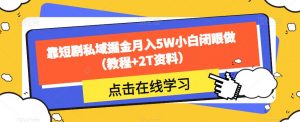 靠短剧私域掘金月入5W小白闭眼做(教程+2T资料)-网赚项目众筹网