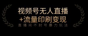全网首发视频号不封号无人直播暴利玩法+流量印刷机变现,日入1000+【揭秘】-网赚项目众筹网