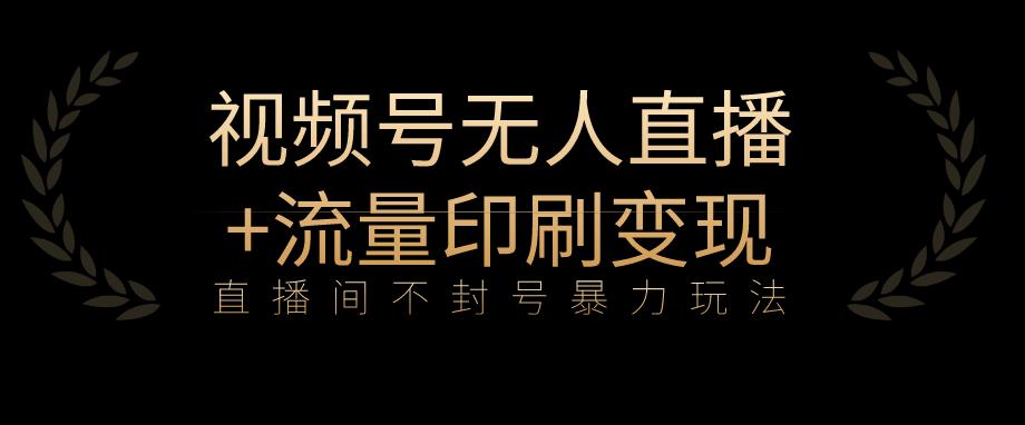 全网首发视频号不封号无人直播暴利玩法+流量印刷机变现，日入1000+【揭秘】-网赚项目众筹网