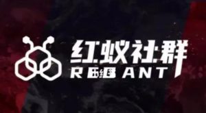 社群运营:红蚁社群【48节落地系统课程+2000人高端社群】-网赚项目众筹网