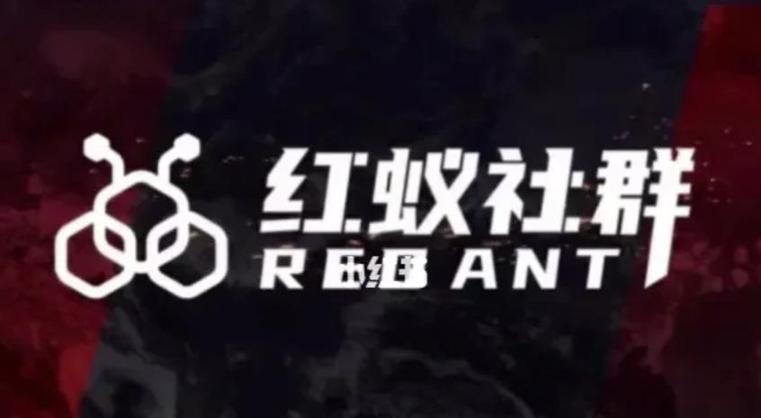 社群运营：红蚁社群【48节落地系统课程+2000人高端社群】-网赚项目众筹网