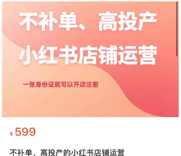 不补单、高投产的小红书店铺运营，一张身份证就可以开店注册-网赚项目众筹网