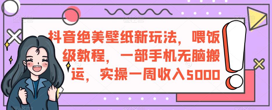 抖音绝美壁纸新玩法，喂饭级教程，一部手机无脑搬运，实操一周收入5000【揭秘】-网赚项目众筹网