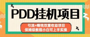 拼多多挂机项目引流+赚钱双重收益项目(保姆级教程小白可上手实操)【揭秘】-网赚项目众筹网
