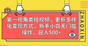 第一视角类短视频,更新多样化变现方式,新手小白无门槛操作,日入500+【揭秘】-网赚项目众筹网