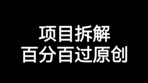 项目拆解赛道百分百过原创【揭秘】-网赚项目众筹网