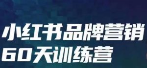小红书品牌60天训练营第6期,GMV2亿级品牌老板都在学,教会你内容营销底层逻辑-网赚项目众筹网
