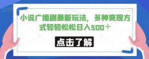 小说广播剧最新玩法,多种变现方式轻轻松松日入500+【揭秘】-网赚项目众筹网