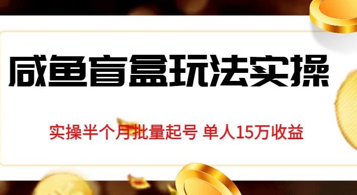 独家首发咸鱼盲盒玩法实操，半个月批量起号单人15万收益【揭秘】-网赚项目众筹网