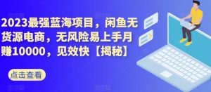 2023最强蓝海项目,闲鱼无货源电商,无风险易上手月赚10000,见效快【揭秘】-网赚项目众筹网