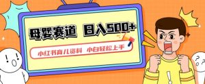 小红书育儿资料,一部手机可操作,多种变现方式,日入500+,私域变现,长期可持续项目【揭秘】-网赚项目众筹网