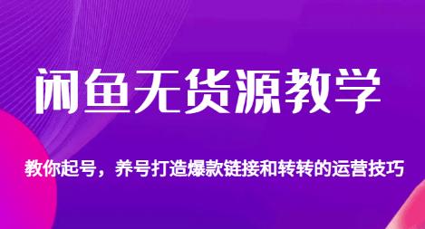闲鱼无货源教学，教你起号，养号打造爆款链接以及转转的运营技巧-网赚项目众筹网