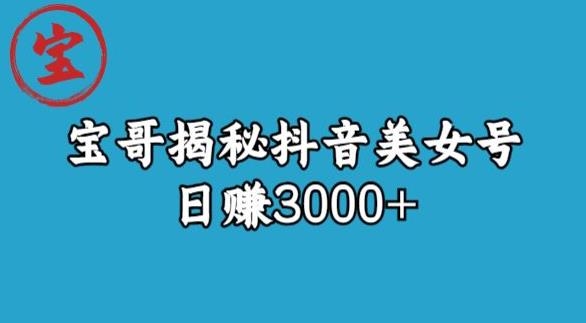 宝哥揭秘抖音美女号玩法，日赚3000+【揭秘】-网赚项目众筹网