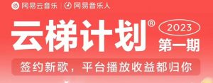2023年8月份网易云最新独家挂机技术,真正实现挂机月入5000【揭秘】-网赚项目众筹网