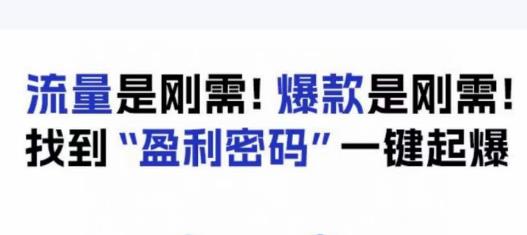 电商盈利精品课：6大盈利密码让产品更好卖，流量是刚需！爆款是刚需！找到”盈利密码”一键起爆-网赚项目众筹网