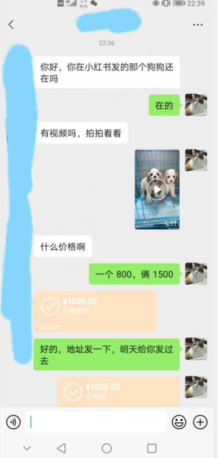 外边收费3980的同城萌宠项目，用最冷门的玩法冲击最热门的市场【揭秘】-网赚项目众筹网
