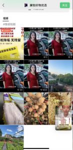 外面收费198的最新视频号连怼技术,条条原创,条条爆单【揭秘】-网赚项目众筹网