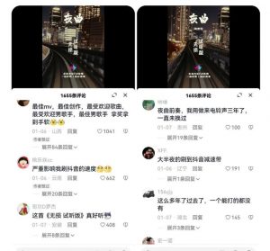 副业拆解：抖音杰伦音乐号涨粉变现项目，视频版一条龙实操玩法分享给你-网赚项目众筹网