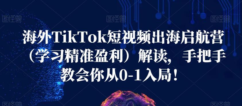 海外TikTok短视频出海启航营（学习精准盈利）解读，手把手教会你从0-1入局！-网赚项目众筹网
