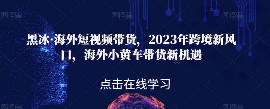 黑冰·海外短视频带货，2023年跨境新风口，海外小黄车带货新机遇-网赚项目众筹网