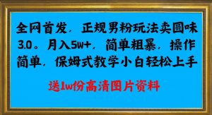 全网首发正规男粉玩法卖圆味3.0,月入5W+,简单粗暴,操作简单,保姆式教学,小白轻松上手-网赚项目众筹网