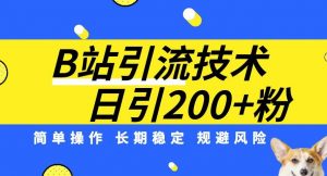 B站引流技术:每天引流200精准粉,简单操作,长期稳定,规避风险-网赚项目众筹网