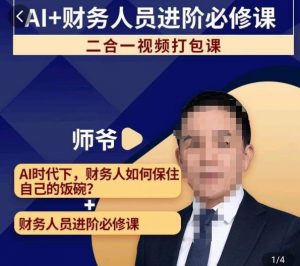 AI+财务人员进阶必修课二合一视频打包课,财务人员进阶必修课-网赚项目众筹网