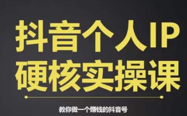 个人IP创富系统实战课，商业定位，流量打造，短视频变现，教你做个赚钱的抖音号-网赚项目众筹网