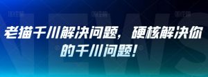 老猫千川解决问题,硬核解决你的千川问题!-网赚项目众筹网