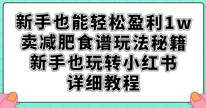 新手也能轻松盈利1w，卖减肥食谱玩法秘籍，新手也玩转小红书详细教程【揭秘】-网赚项目众筹网
