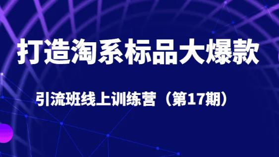 打造淘系标品大爆款引流班线上训练营（第17期）5天直播授课-网赚项目众筹网