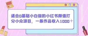 适合0基础小白做的小红书颜值打分小众项目,一条作品收入1000+【揭秘】-网赚项目众筹网