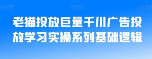 老猫投放巨量千川广告投放学习实操系列基础逻辑-网赚项目众筹网