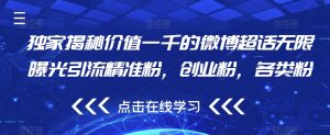 独家揭秘价值一千的微博超话无限曝光引流精准粉,创业粉,各类粉-网赚项目众筹网