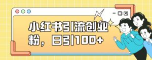 小红书引流创业粉,日引100+【揭秘】-网赚项目众筹网