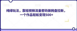 纯绿玩法,靠短视频流量密码做网盘拉新,一个作品轻松变现500+【揭秘】-网赚项目众筹网
