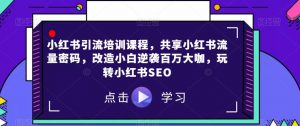 小红书引流培训课程,共享小红书流量密码,改造小白逆袭百万大咖,玩转小红书SEO-网赚项目众筹网
