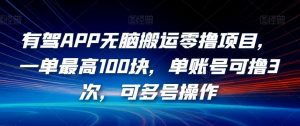有驾APP无脑搬运零撸项目,一单最高100块,单账号可撸3次,可多号操作【揭秘】-网赚项目众筹网