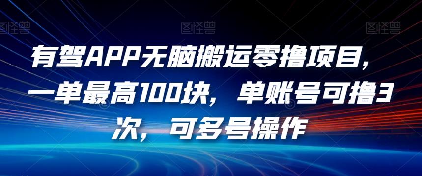 有驾APP无脑搬运零撸项目，一单最高100块，单账号可撸3次，可多号操作【揭秘】-网赚项目众筹网